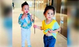 呆妹娱乐吃瓜视频大全免费观看,免费畅享吃瓜盛宴，笑料横生视频大全